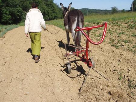 Kassine et sa sarcleuse chez Jo Ballade