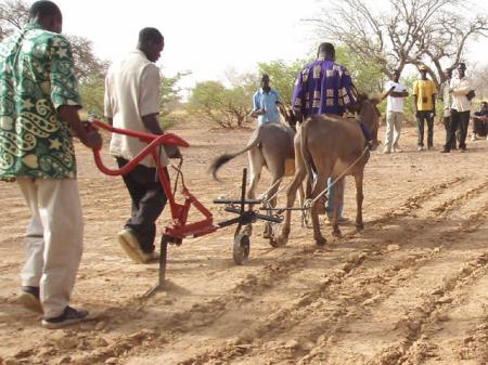 Kassine en Afrique