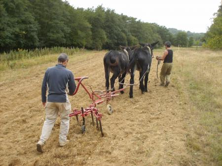 Concentré au travail comme à l'armée ;-))