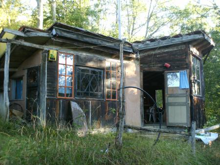 Admirable cabane sous la frontaison des arbres!