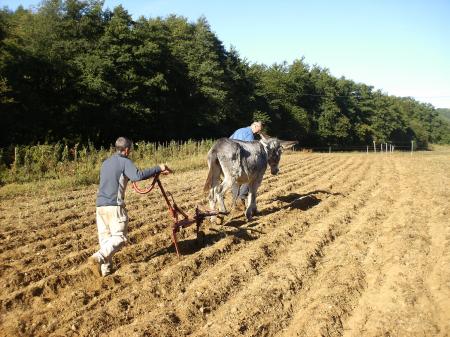 Au travail