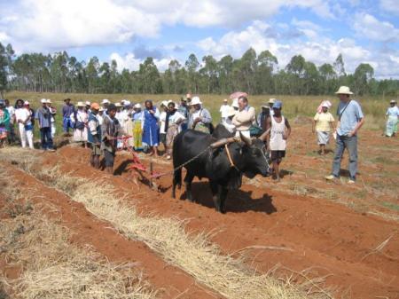 Kassine à Madagascar