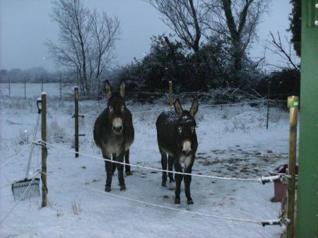 Il neige